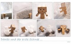 wall_danbo_2010_schnee_small.jpg