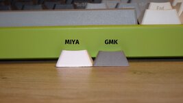 MIYA vs. GMK.JPG