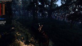 witcher3_2021_05_04_20_53_37_951.jpg