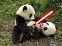 darthpanda - Kopie.jpg