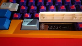 20210912-KBD8XMKII (4).JPG