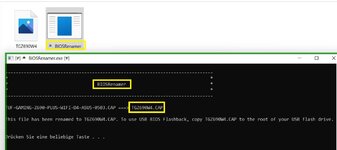 Bios Renamer.jpg
