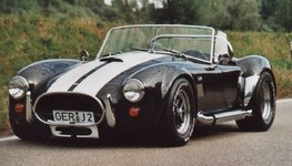 Cobra in schwarz2.jpg