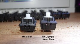 MX Olympia Linear Clear (4).JPG