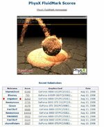 PhysX Fluidmark Score (evgaman).jpg