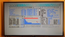 Amiga1.jpg