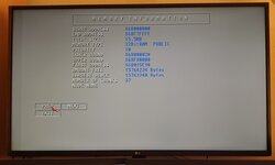 Amiga2.jpg