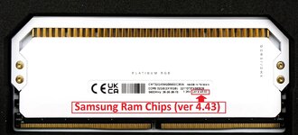 Samsung Ram Chips.jpg