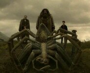 Aragog's_funeral_2.jpg