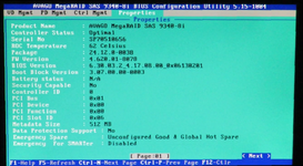 TS460 -  LSI MegaRAID SAS 9340-8i - MegaRaid Menu (6).png
