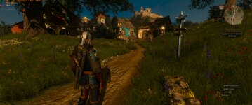 Witcher 0.95V 95 cap.jpg