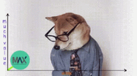 finance doggo.gif