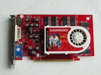 Gainward Geforce 6600 256 MB Karte 1 (1).JPG