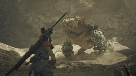 Monster Hunter Wilds Beta test 03.11.2024 10_26_49.png