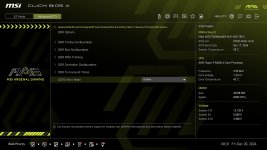 MSI_DDR Options_[2024-12-20-08-31-20]_edit_53998873776639.jpg