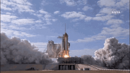 IMG_3126.gif