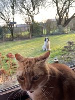 IMG_4061.jpeg