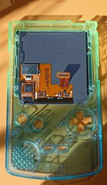 GBC_16.jpg