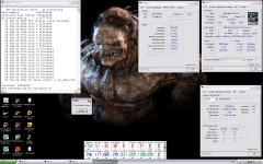 305 low timmigns 2mb.JPG