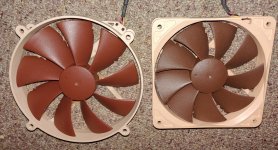 Noctua.jpg