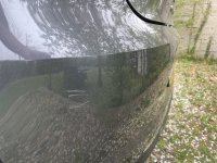 IMG_6572.jpeg