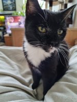 20230313_164820.jpg