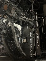 IMG_8798.jpeg
