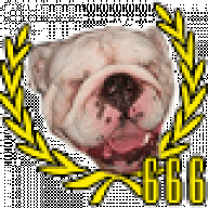 bulldog666