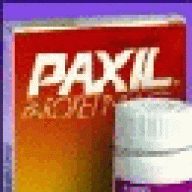 paxil