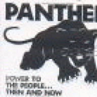 DyingPanther