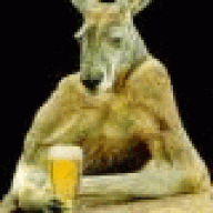 TheKangaroo