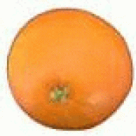 OrangeMedGreen