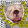 bulldog666