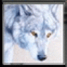 Snow_Wolf