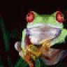 PornoFrosch