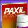 paxil