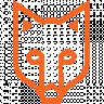 wuestenfuchs