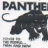 DyingPanther