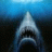 shark2k4