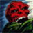 redskull