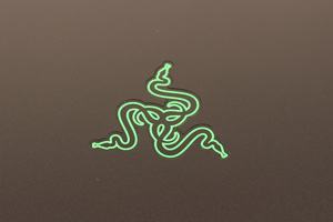 Razer Blade Pro 2019 im Test