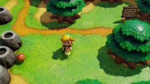 The Legend of Zelda Links Awakening 