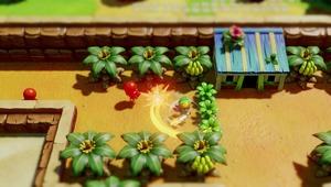 The Legend of Zelda Links Awakening 