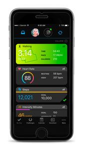 Garmin vivomove HR Companion-App