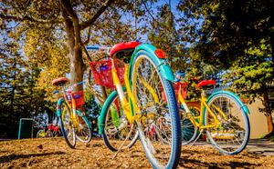 Google Campus - Silicon Valley 