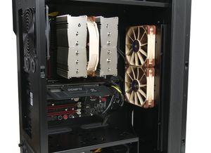 Noctua chromax