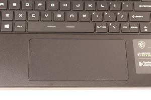 MSI GS66 Stealth 10UH im Test