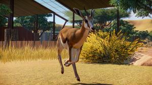 Planet Zoo