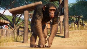 Planet Zoo