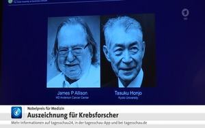 Einschränkungen bezüglich der Skills gibt es im Show-Modus nicht - hier die Tagesschau als Reaktion auf Was ist in den Nachrichten?